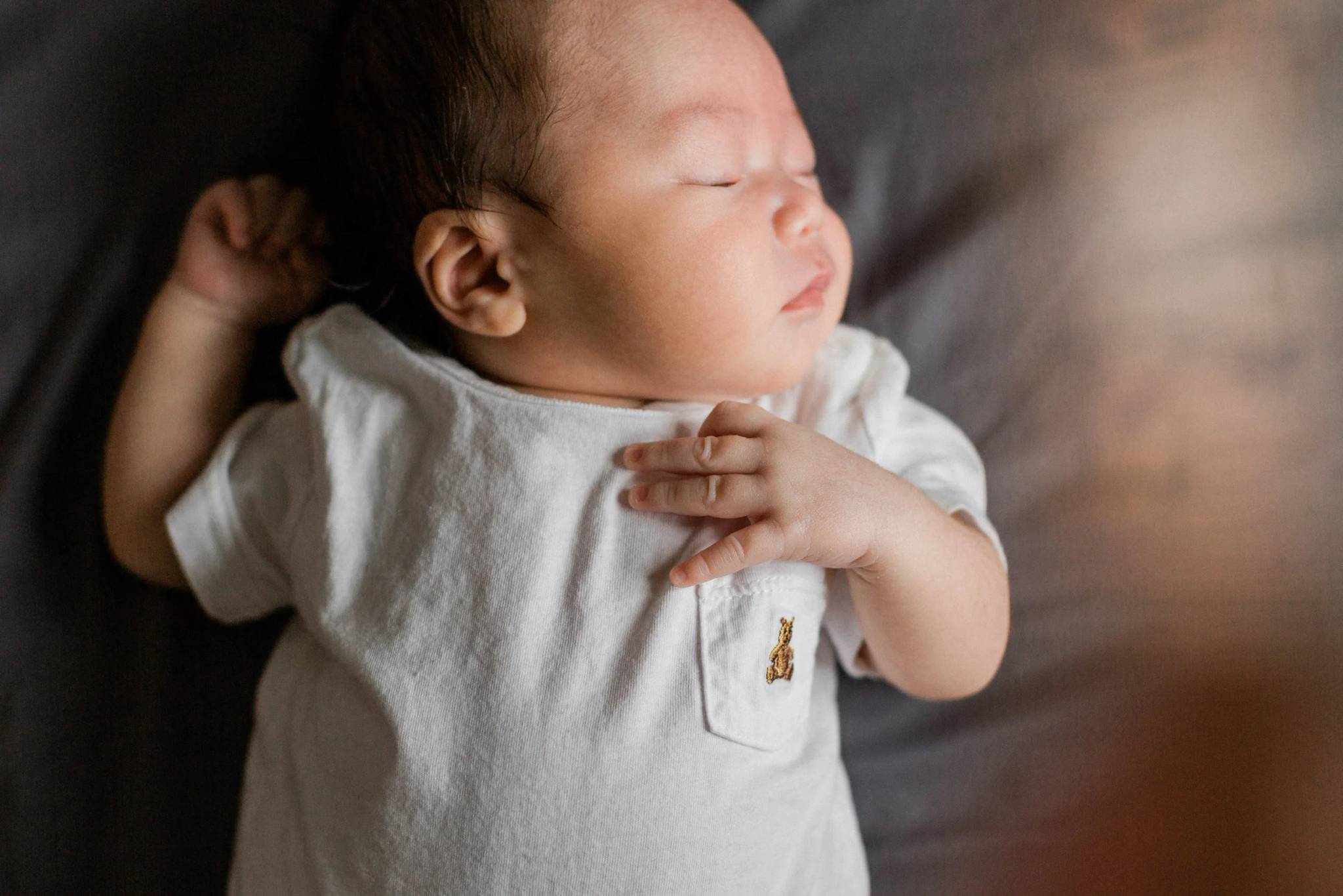 Levi — photo 4